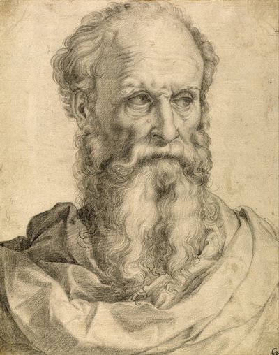 Head and Shoulders of a Bearded Man by Francesco de Rossi Salviati Cecchino